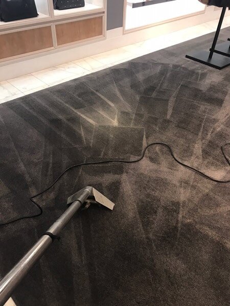 Grey rug getting vacuumed and cleaned by Lasting Image